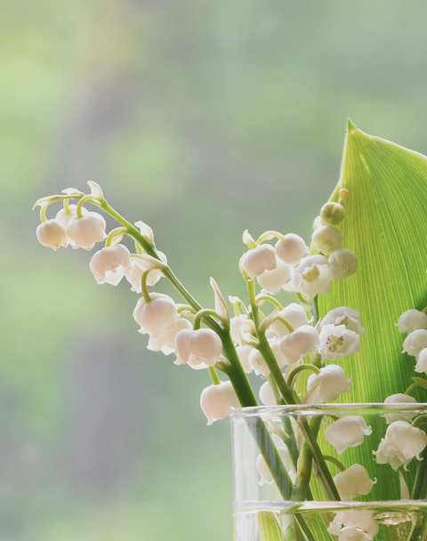 相談支援事業muguet